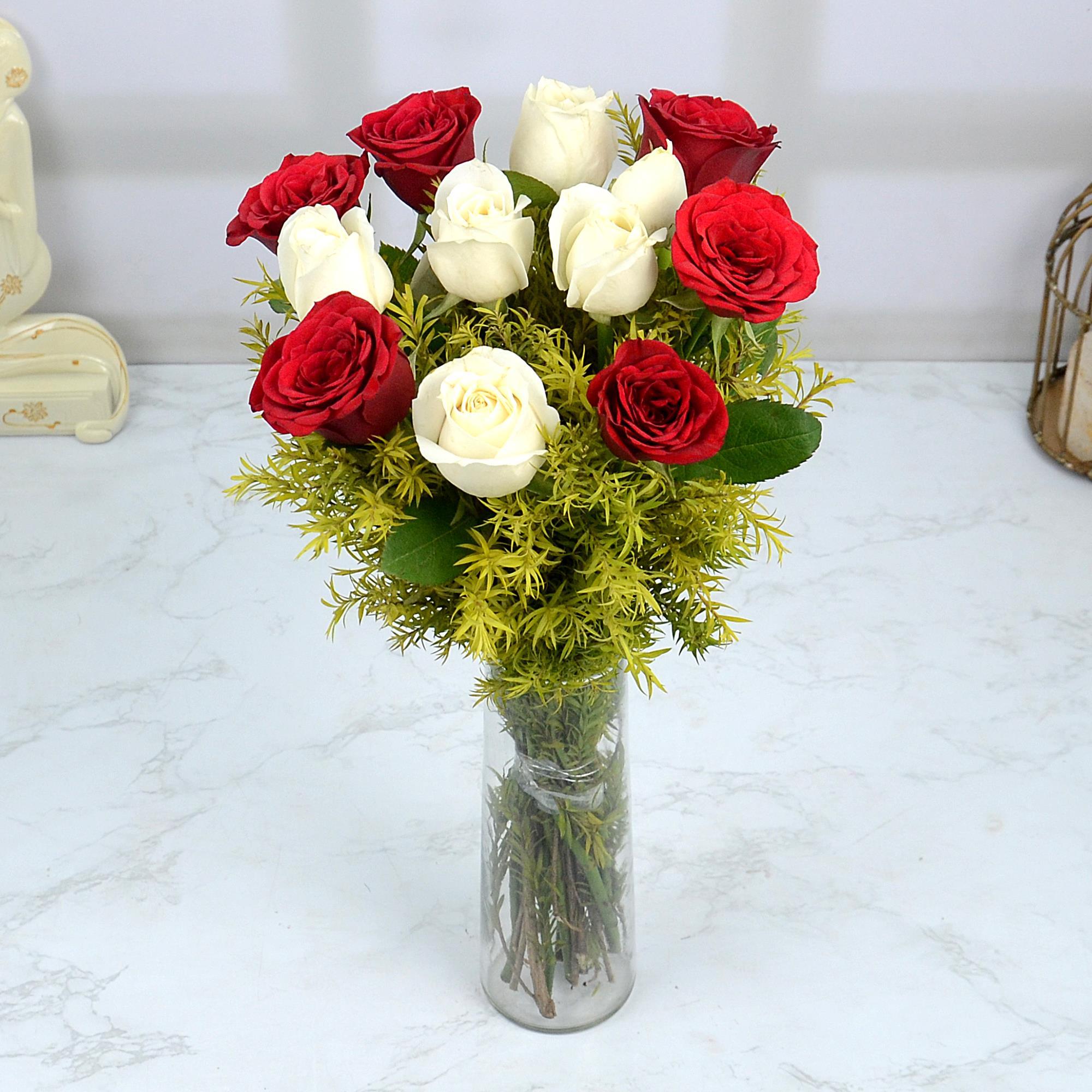 Red and White Roses