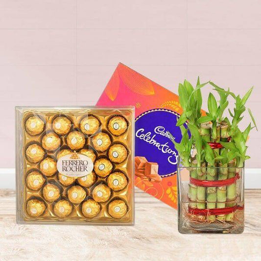 Lucky Bamboo Chocolate Hamper - YuvaFlowers