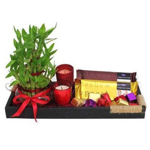 Lucky Bamboo N Chocolates Tray - YuvaFlowers