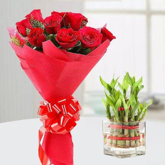 Lucky Bamboo Roses Emotion - YuvaFlowers